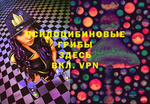 не бодяженный Дмитриев