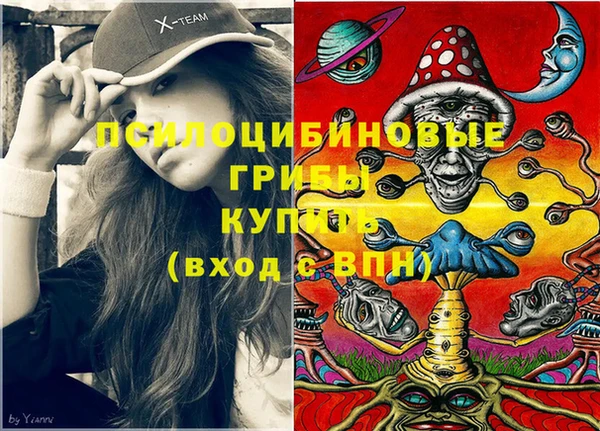 не бодяженный Дмитриев